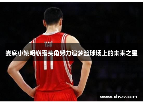 娄底小姚明崭露头角努力追梦篮球场上的未来之星